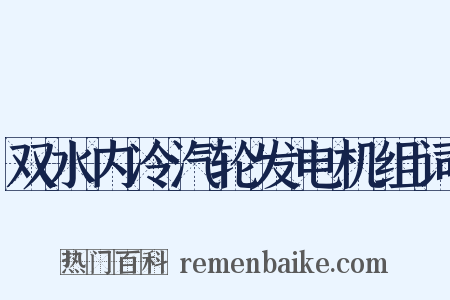 双水内冷汽轮发电机组词是什么意思的图片